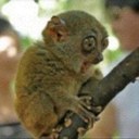 Jake Boling - @jake_boling - Twitter