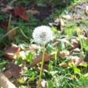 Marla Smart - @MarlaMrl - Twitter