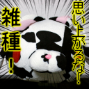 ソフトウェアを書いたりカメラ (α7RV) でなにかを撮ったりして生きている