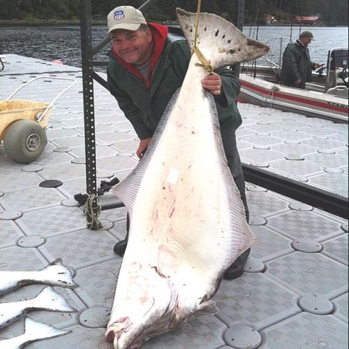 docwarneralaska Profile Picture