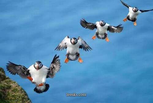 mactaggs's profile picture. 