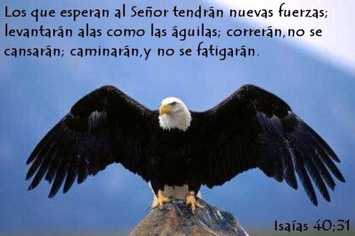 severinocancun's profile picture. 