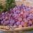 ATXFoodForest's profile image