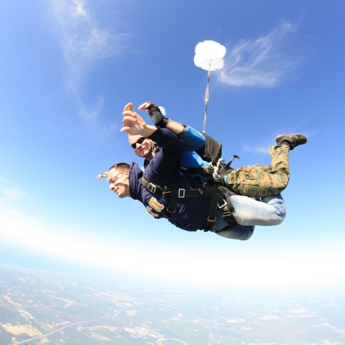 MichaelDantonio's profile picture. 