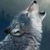 Bill McCollough - @VioletGreendog - Twitter