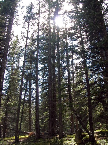 edawson7's profile picture. Interested in writers, readers, scientists, thinkers, hikers, eaters, travelers, and...(you get the idea).