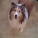 Evan Snow - @EvanSnow91 - Twitter