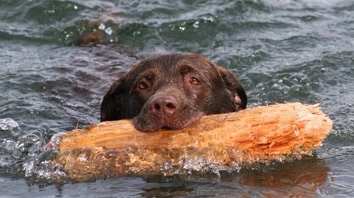 AugieYoung's profile picture. 