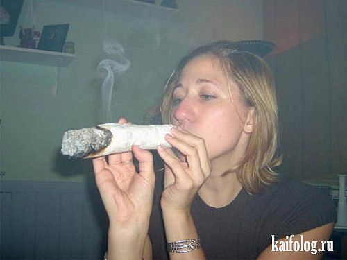 Blowgrow_semena's profile picture. Семена конопли и марихуаны в украине, оборудование и удобрения для выращивания каннабиса. Только для тех стран где это легально;-)