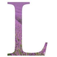 Literatura Universal (@l_universal) 's Twitter Profile