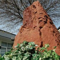 Stone Illusion (@stoneillusion) 's Twitter Profile