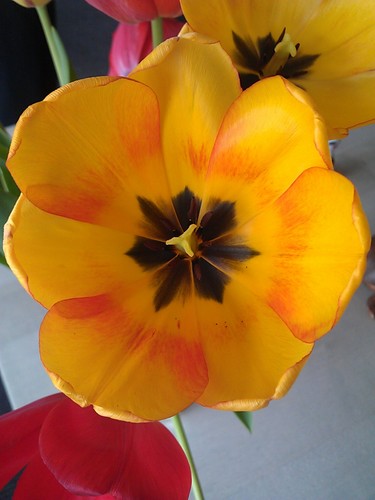 eisweiher's profile picture. 