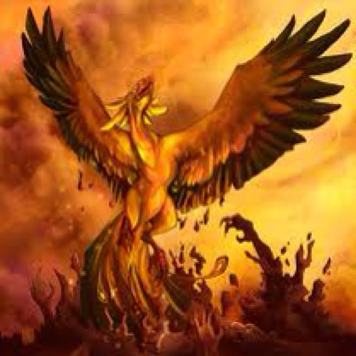 PhoenixrisingF3's profile picture. F3 Phoenix.Father. Husband. Christian.