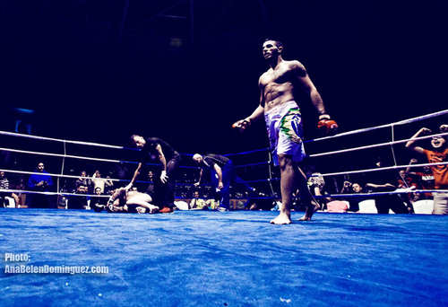 joseverdejogian's profile picture. personal treiner y amante de deportes de contacto mma, bjj, boxeo...