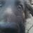 BenWilliamson8's profile image