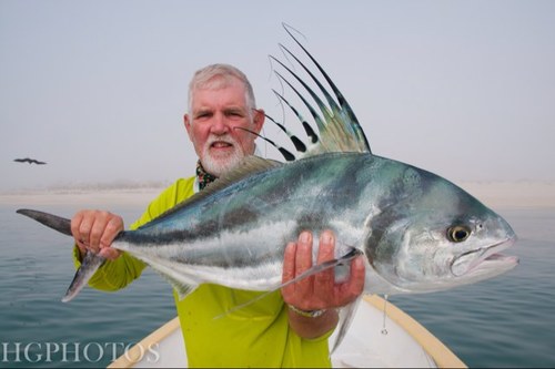 bdhorsley's profile picture. 