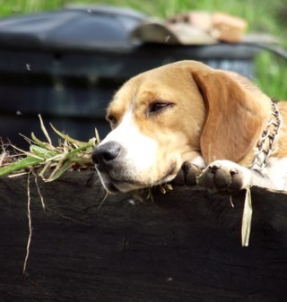 OLR339's profile picture. Comunicadora social en el mundo editorial