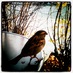 bread, print & roses (@printandroses) Twitter profile photo