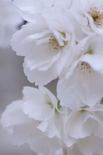 S65373196's profile picture. 