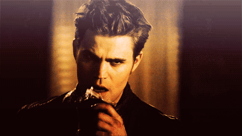 i love Damon Stefan Elena Matt Caroline Klaus tyler bonnie i love TVD