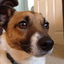 Sue Harding - @shard999 - Twitter