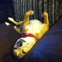 Hope Horner - @HopeAHorner - Twitter