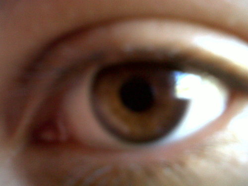 belhajW's profile picture. je n'ai rien à déclarer à part que je suis géniale