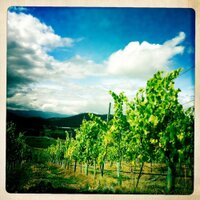 P & G Lipscombe (@sshwine) 's Twitter Profile