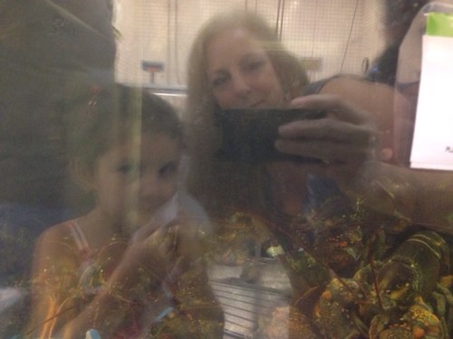 catcentrics's profile picture. 