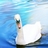 bled_lake's profile image