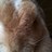 mmimmidptl's profile image