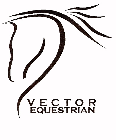 vectoreq's profile picture. Moving Forward With Direction.