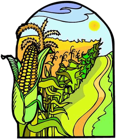Grain Trader, Farmer, CBOT member