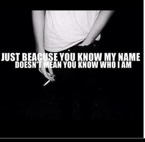 beeeeecause's profile picture. 