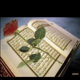 ulusalguvenlik's profile picture. 