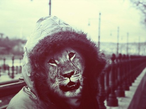 LeoLeshi's profile picture. mertvie kotiata!