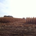 Austin Schulz - @Wheat188 - Twitter