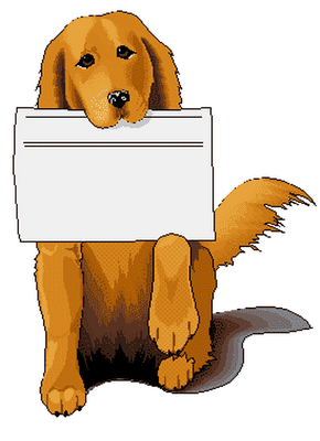 gosperdut's profile picture. Eina col.lectiva per tornar cans i gats a casa. Que el #gosperdut faciliti aquesta tasca. Entre tots serà més fàcil!