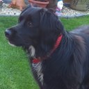 Makayla Evans  - @makaylaevans81 - Twitter