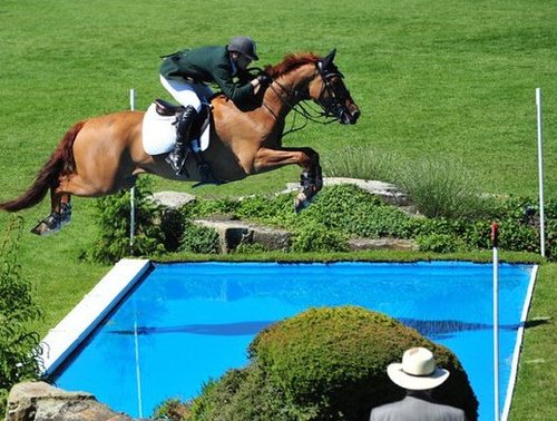 Irish showjumper based in Loughnatousa Co. Waterford. Regular updates of Irish and international shows and Horse sales at http://t.co/Ywlpp7zDMw.