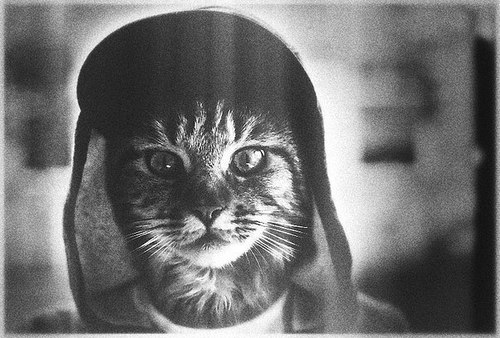 DanisMagizov's profile picture. 