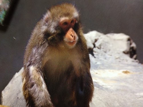 12190117's profile picture. 自転車通勤