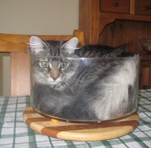 thedoctorstig's profile picture. 