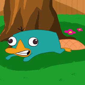 カモノハシペリー カモノハシペリー(異次元) | フィニアスとファーブ Wiki | Fandom