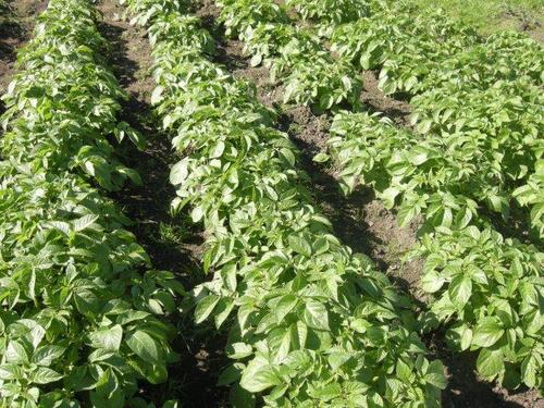 plymstockbus's profile picture. Plymstock Business department; support for students