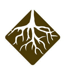 RICHES Mosaic Interface™ Profile