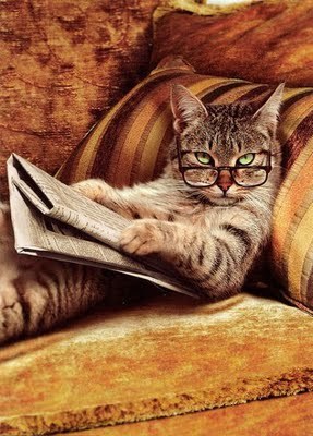 Libros, letras, fantasía, álbumes, dibujos, ideas.