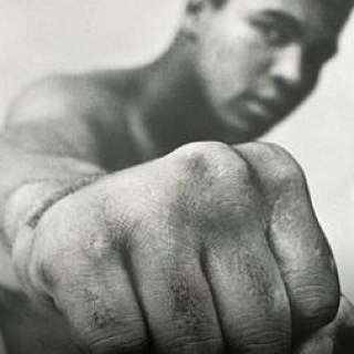 AndyTompson's profile picture. young entrepenuer  looking forward to help my new company grow big fan of m. ALI sting like a bee