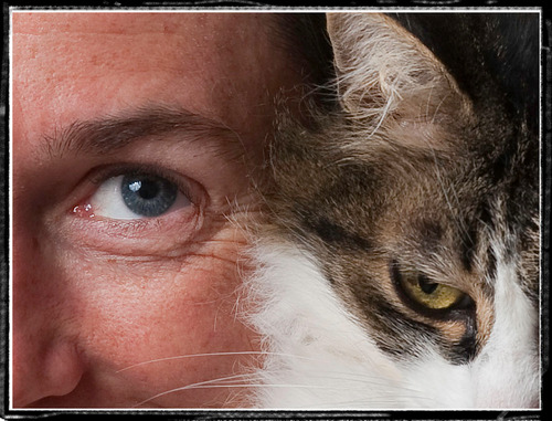 LaurenceGuyon's profile picture. 