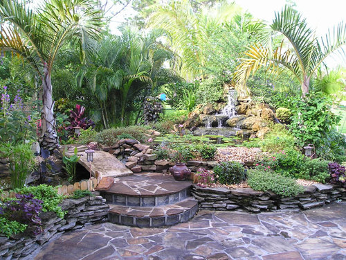 We provide helpful tips and advice for creating a great home garden.